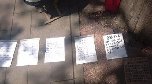 中国相亲态度