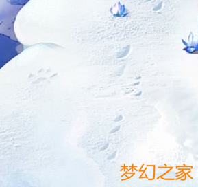 梦幻西游2猜地区